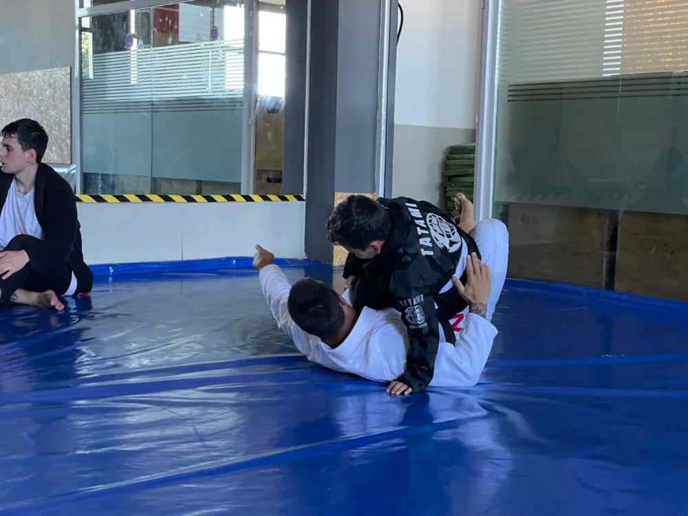 Tatami IBJJF Cintura BJJ Bambino Graduazione Colore
