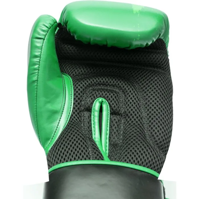 TOP TEN Power Ink Dual guanti da boxe pelle