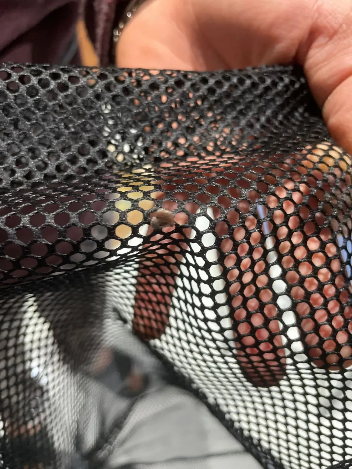 Leone 1947 Mesh Bag Sacca Rete Nera 35 Litri