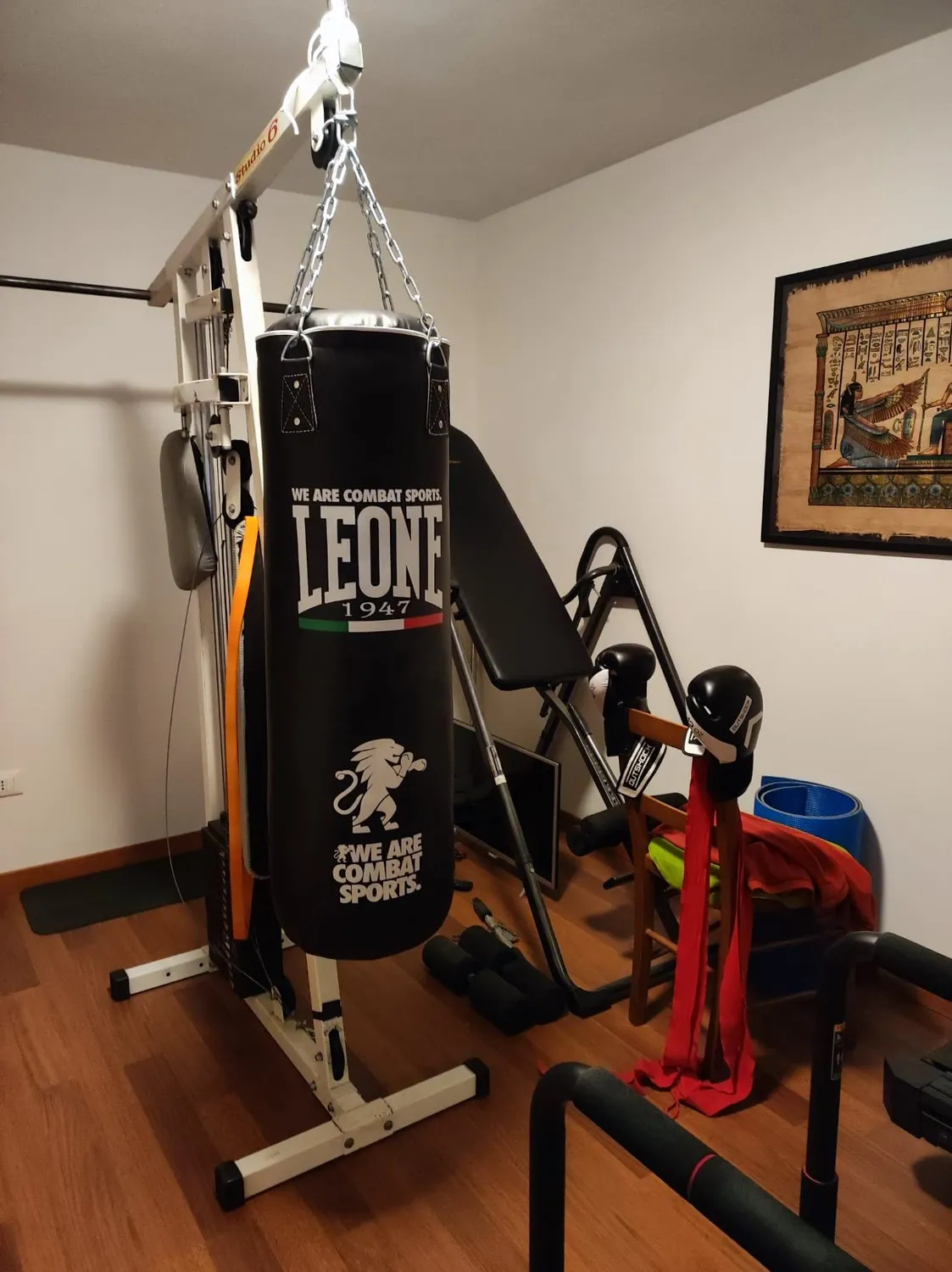 Leone 1947 AT840 sacco boxe allenamento Rosso 20 kg