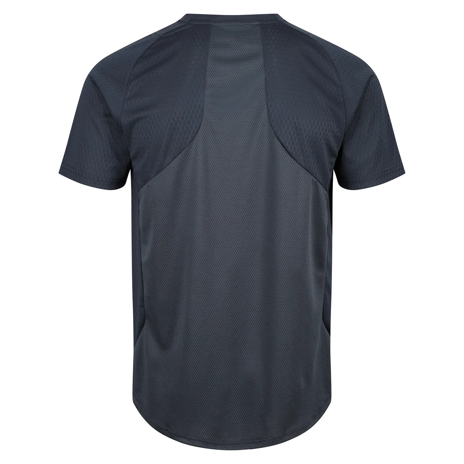 Tatami Active Dry Fit t-shirt allenamento grigia traspirante