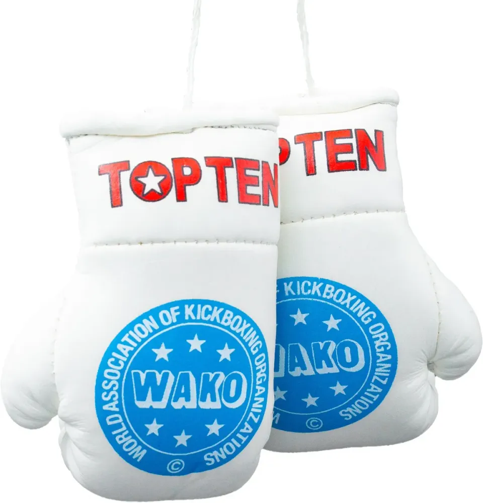 TOP TEN WAKO Pro mini guantoni boxe