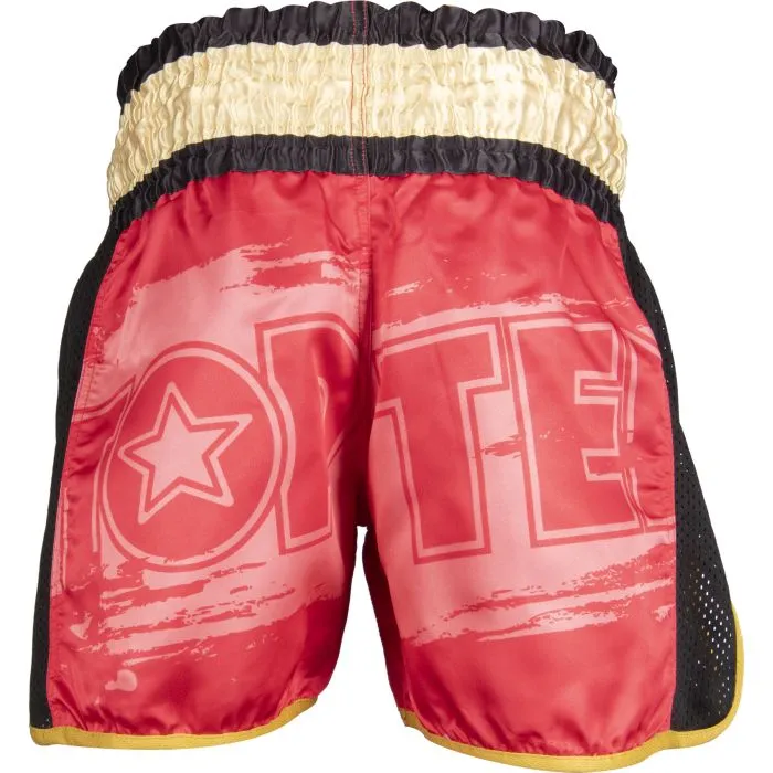 TOP TEN Power Ink pantaloncini kickboxing poliestere