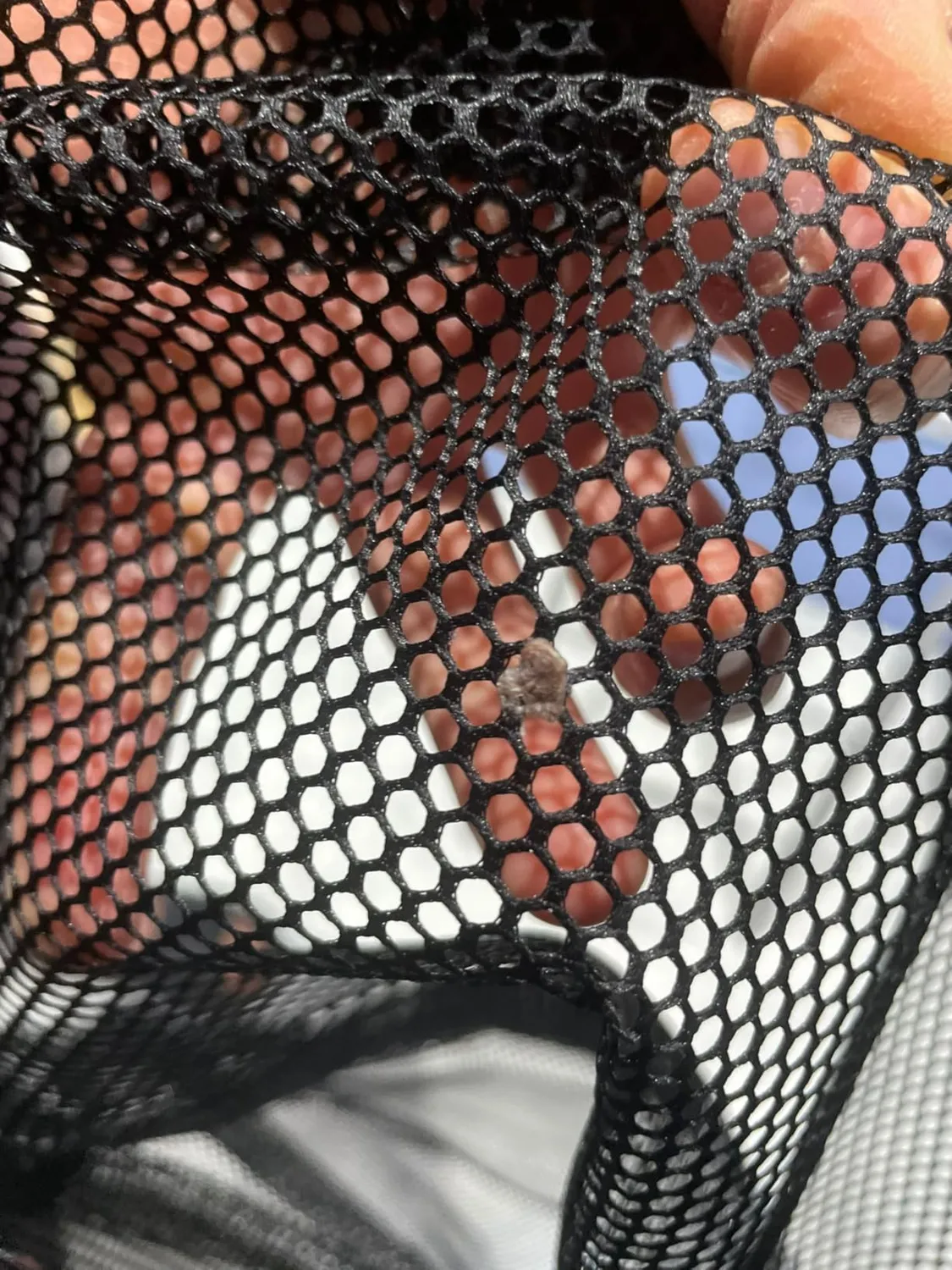 Leone 1947 Mesh Bag Sacca Rete Nera 35 Litri