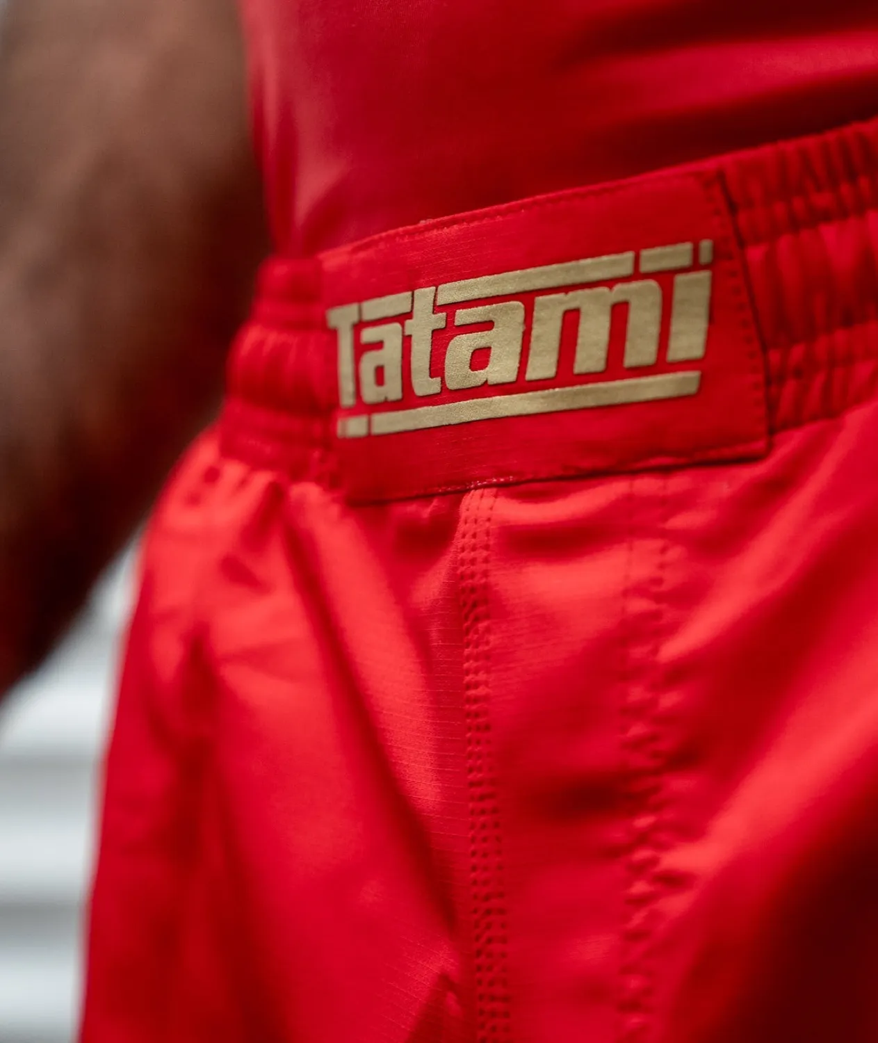 Tatami Pro V2 shorts grappling rossi