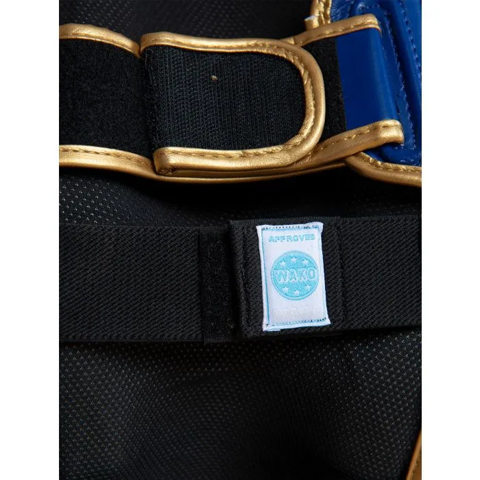 TOP TEN Star Light WAKO paratibie kickboxing
