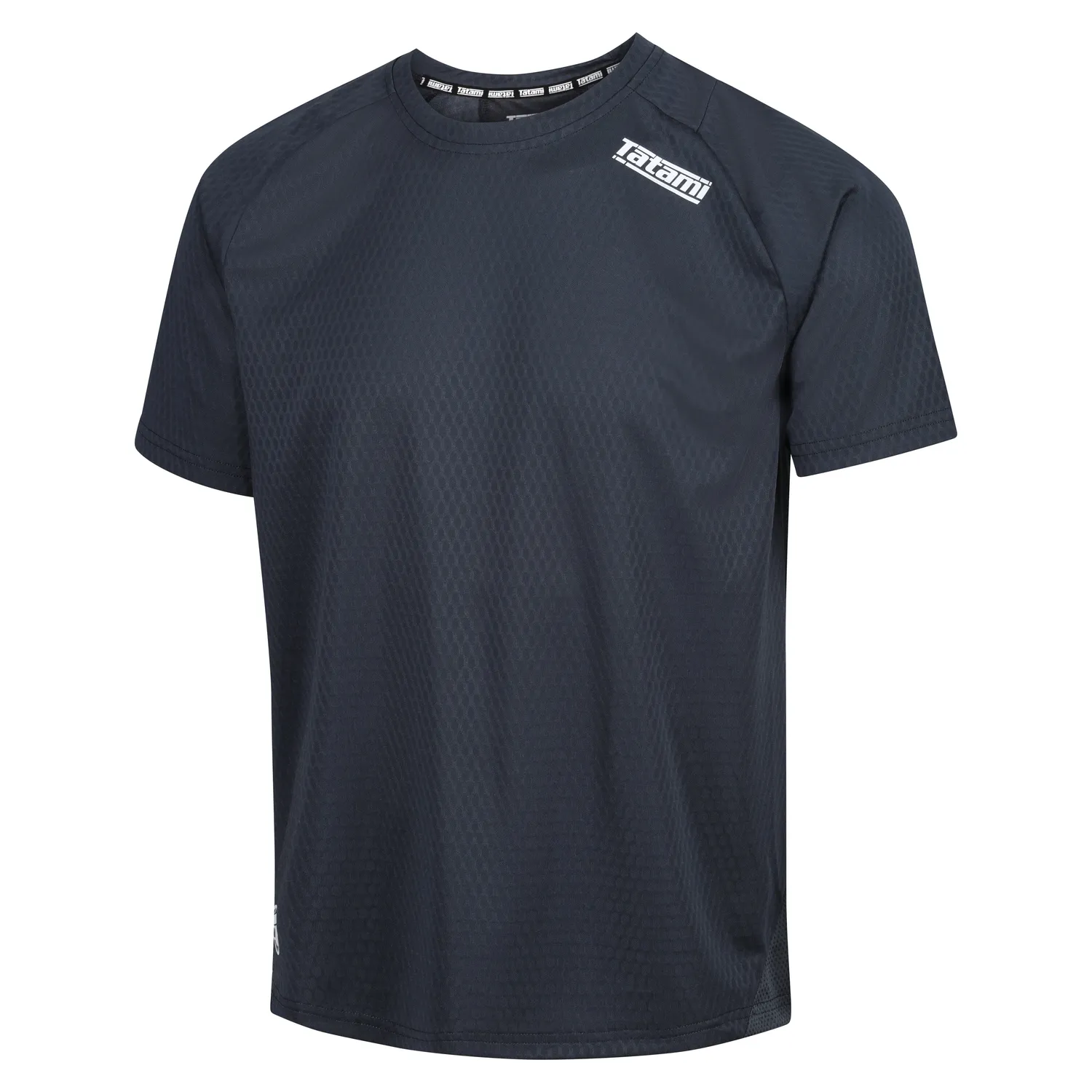 Tatami Active Dry Fit t-shirt allenamento grigia traspirante