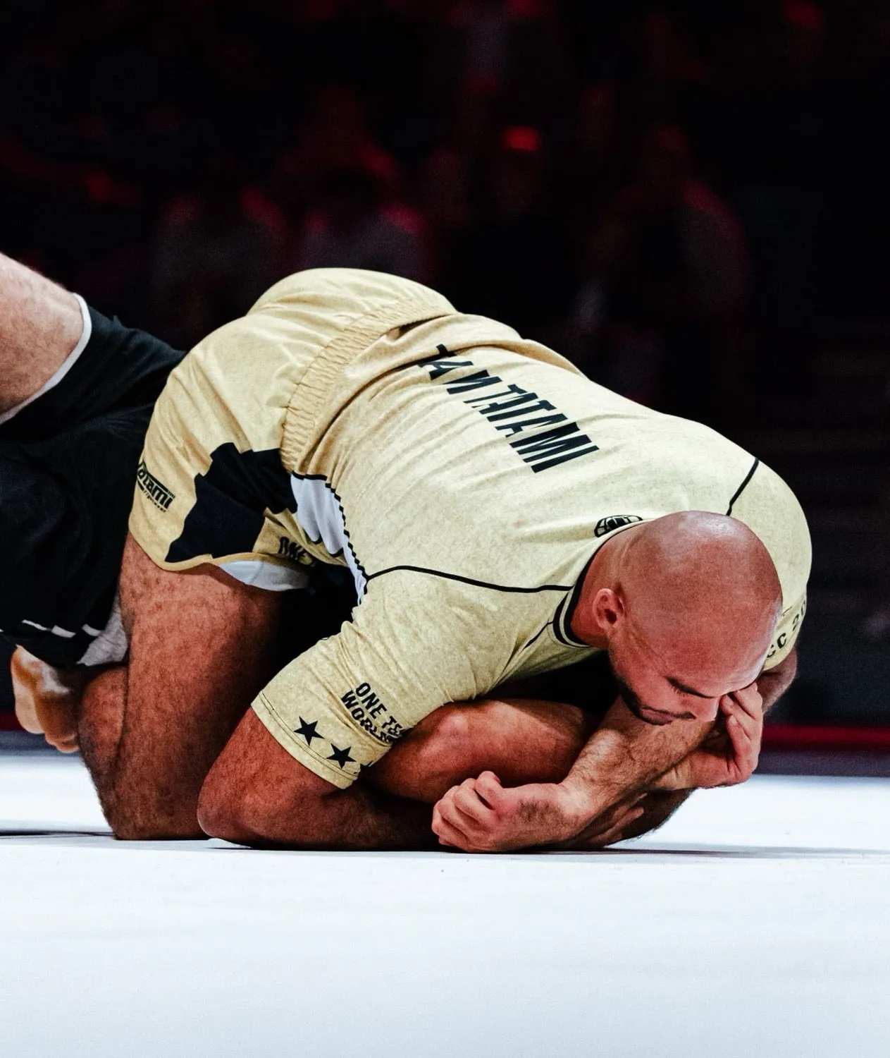 Tatami Team Gold Rash Guard Maniche Corte Bianca Leggera
