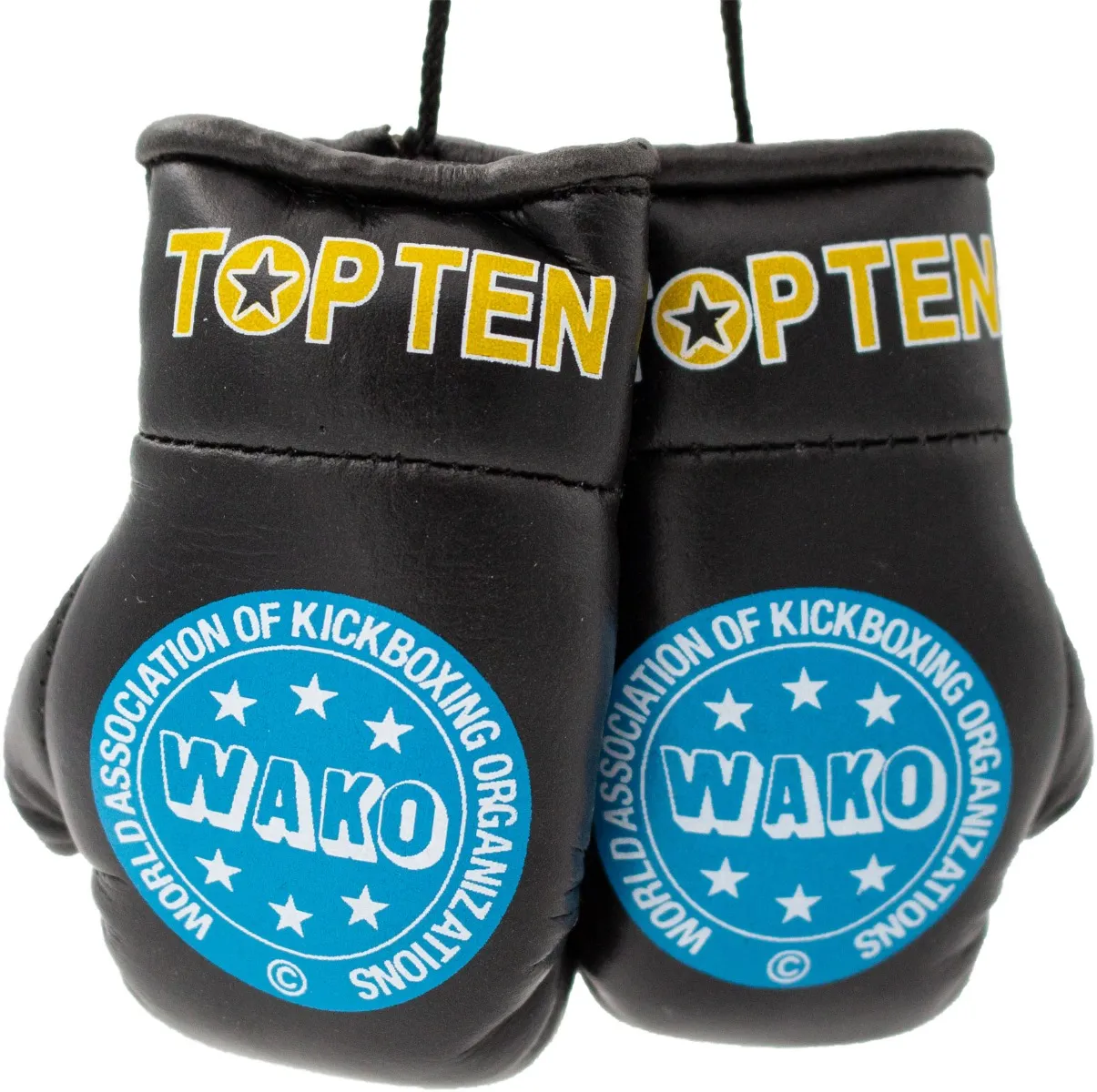 TOP TEN WAKO Pro mini guantoni boxe