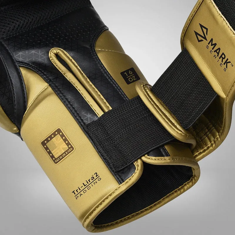RDX L2 Mark Pro Guantoni Boxe Dorati 14oz Pelle