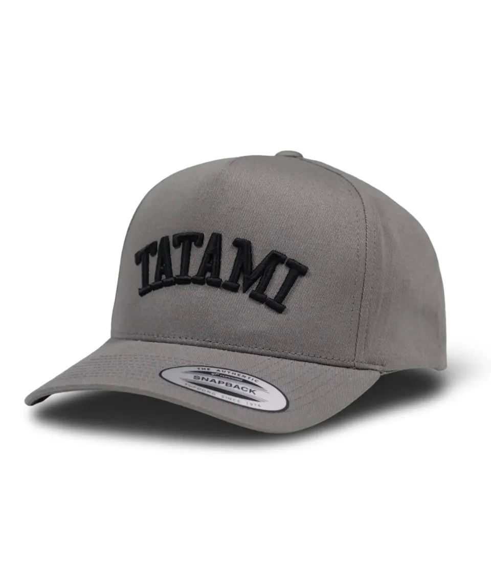 Tatami Embroidered Snapback cappellino grigio cotone