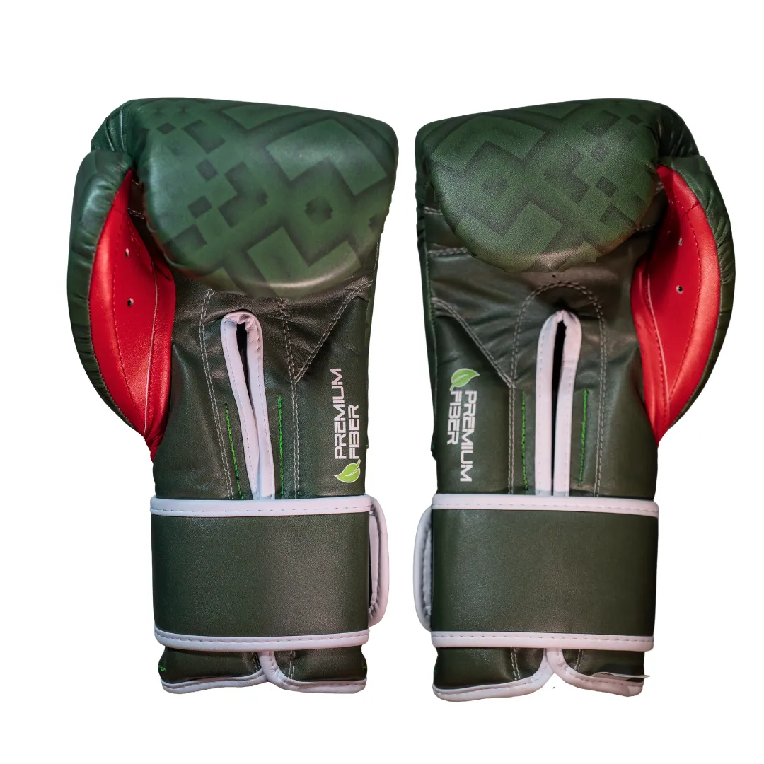 Cleto Reyes Mexicana guanti boxe 14 oz velcro verde