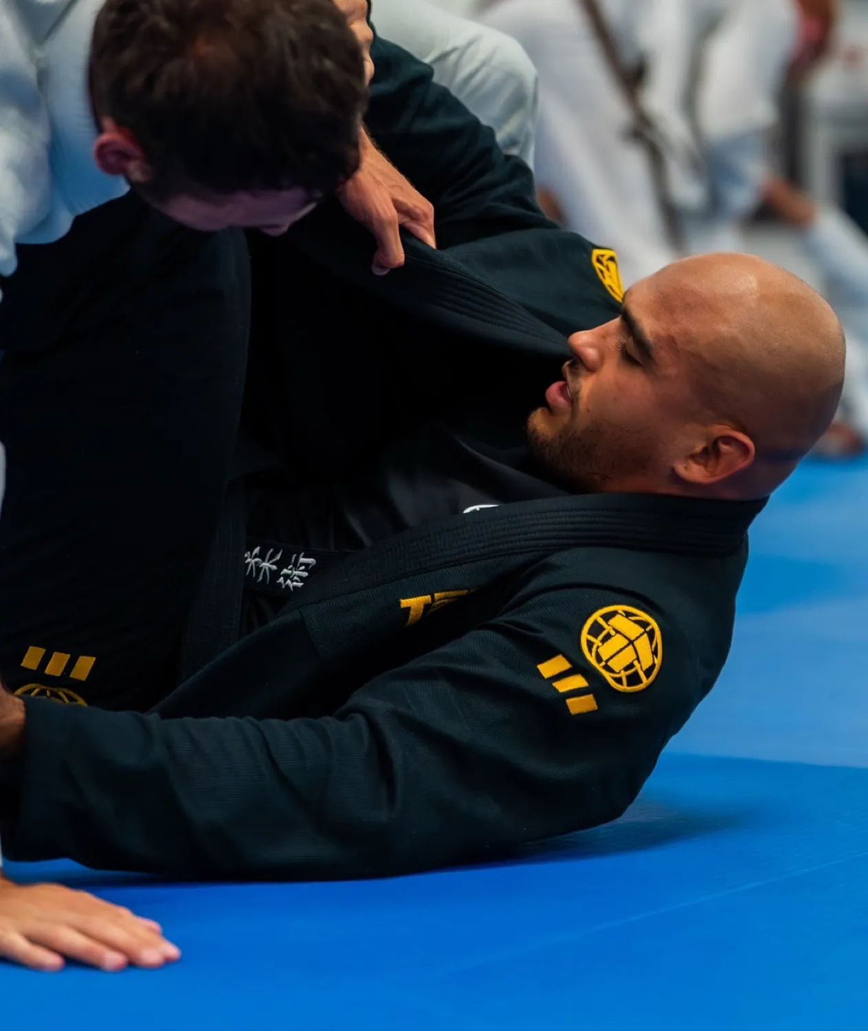 Tatami Pro Series Black Gold kimono BJJ leggero