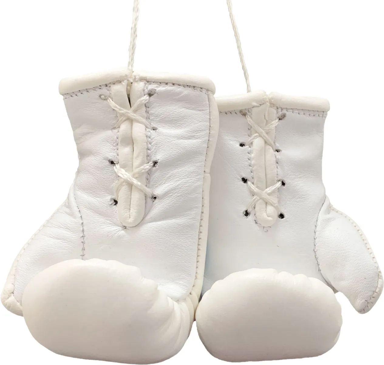TOP TEN WAKO Pro mini guantoni boxe