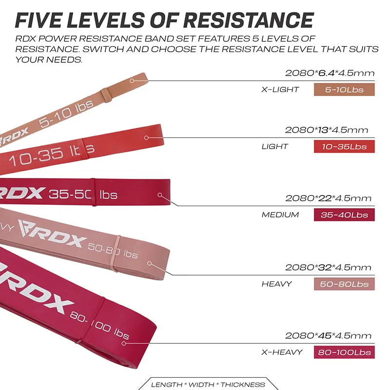 RDX MP Bande Resistenza Set 5 Pezzi Lattice 208cm
