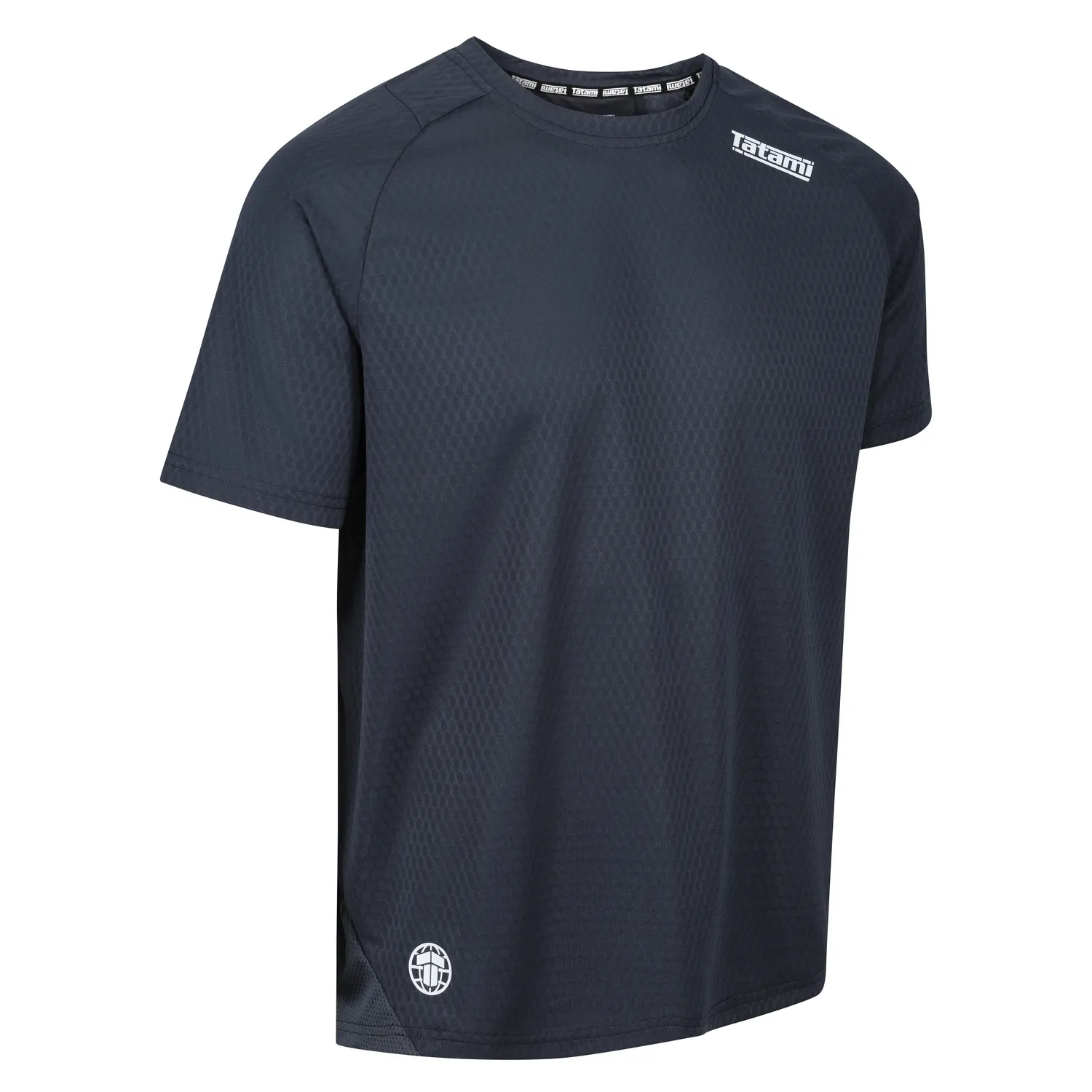 Tatami Active Dry Fit t-shirt allenamento grigia traspirante