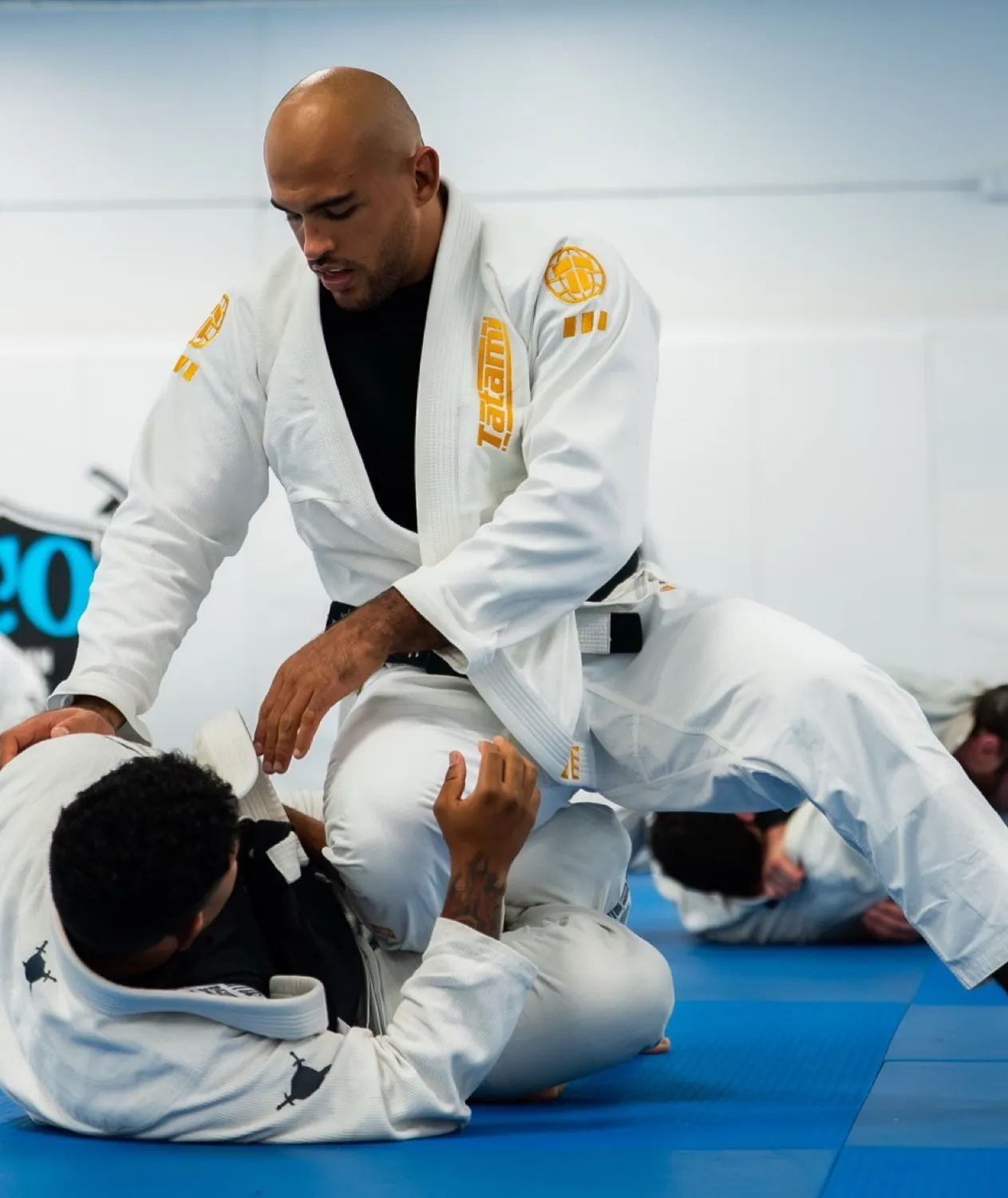 Tatami Pro Series kimono BJJ bianco oro