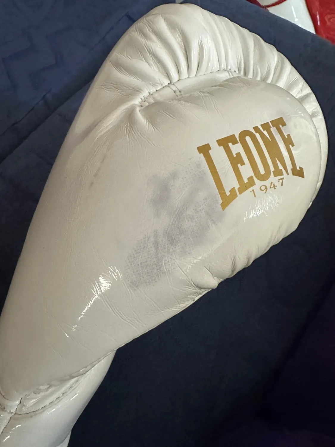 Leone1947 GN059 Guanti Boxe 14 oz PU polso rinforzato