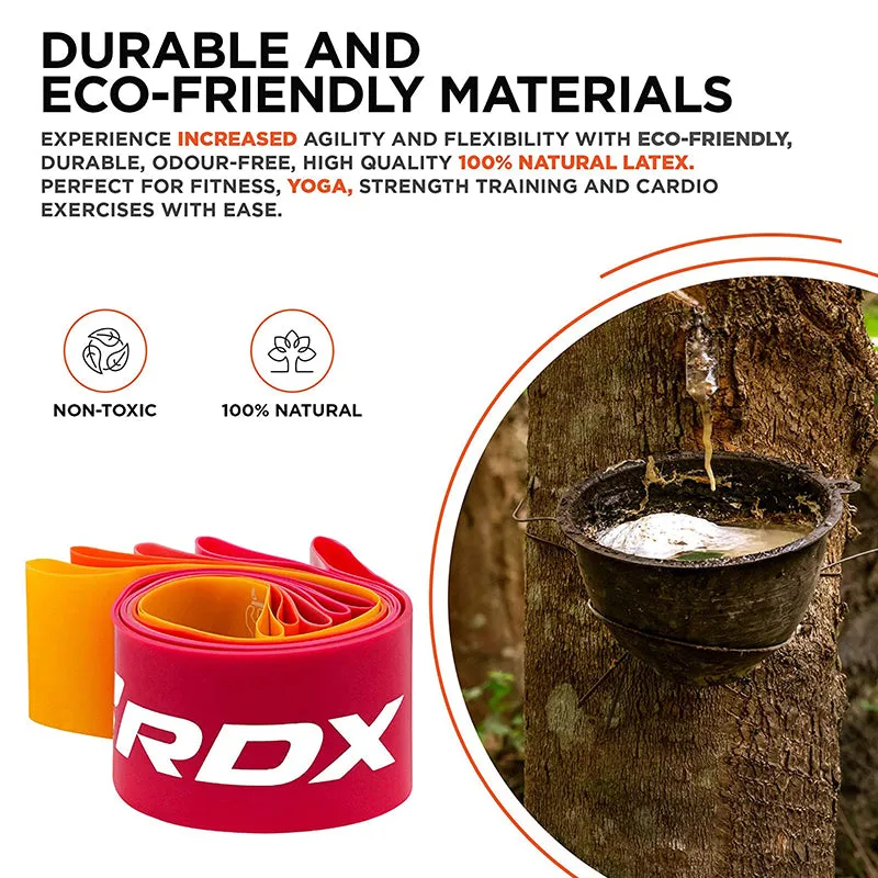 RDX MP Mini Bande Elastiche Lattice Set 5 Pezzi 5-25lbs