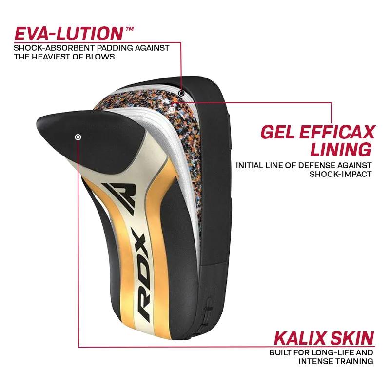 RDX T17 Aura Pao Thai Boxe Oro Antishock