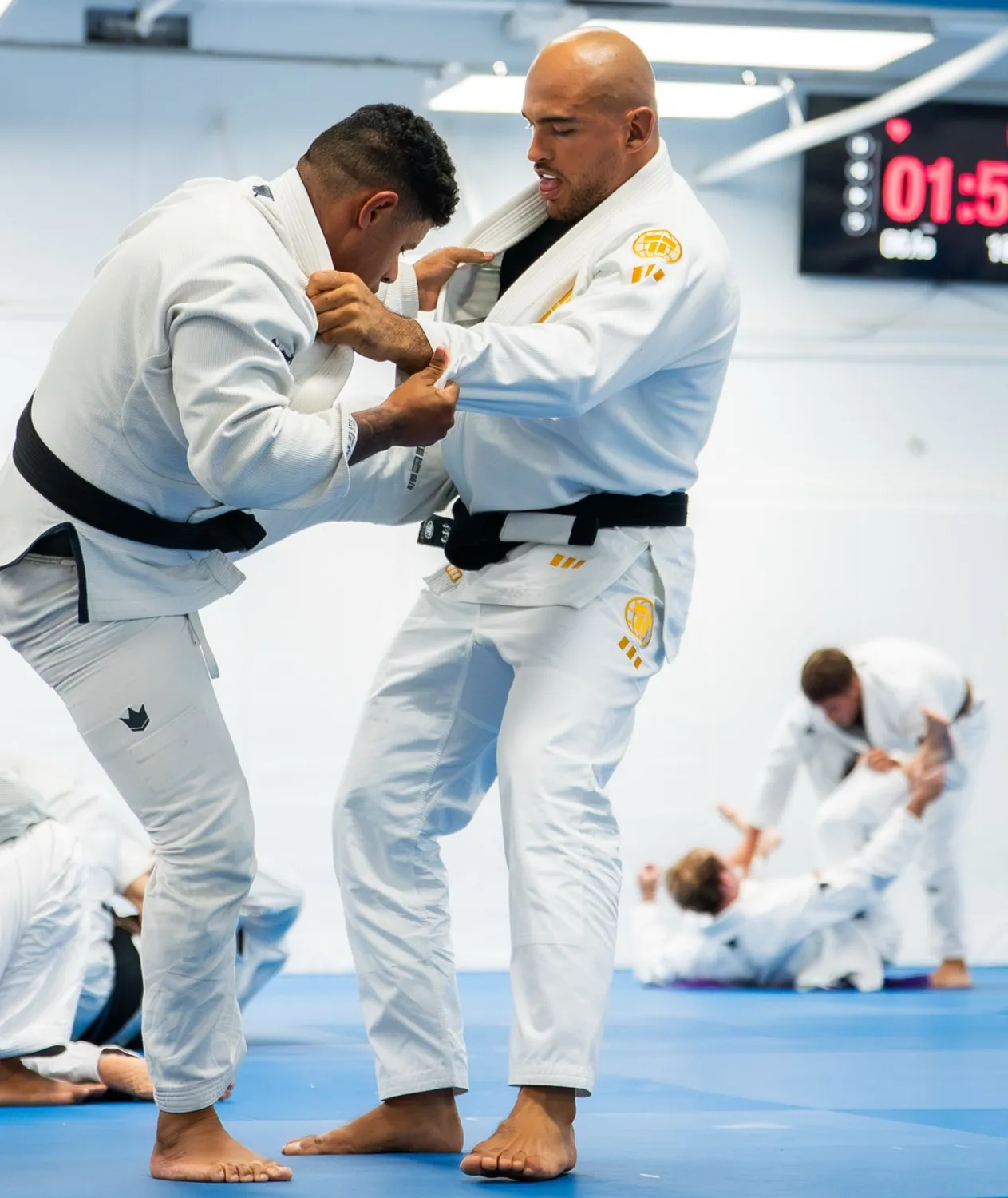 Tatami Pro Series kimono BJJ bianco oro