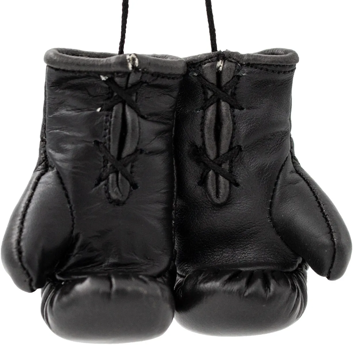 TOP TEN WAKO Pro mini guantoni boxe